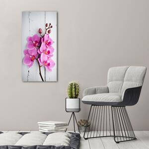 Vertikální Foto obraz na plátně Růžová orchidej ocv-118409675
