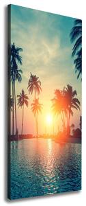 Vertikální Foto obraz na plátně Tropická pláž ocv-118937012