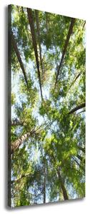 Vertikální Foto obraz canvas Koruna stromů ocv-119047799