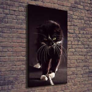 Vertikální Vertikální Foto obraz na plátně do obýváku Černá kočka ocv-119089470