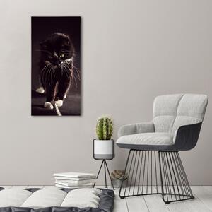 Vertikální Vertikální Foto obraz na plátně do obýváku Černá kočka ocv-119089470