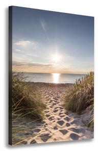 Vertikální Foto obraz na plátně Mořské duny ocv-119215284