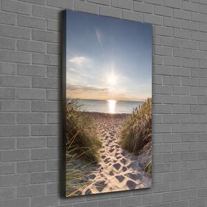Vertikální Foto obraz na plátně Mořské duny ocv-119215284