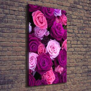 Vertikální Vertikální Foto obraz na plátně do obýváku Růžové růže ocv-119226087