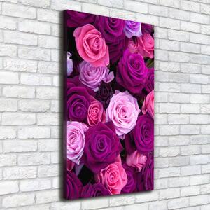 Vertikální Vertikální Foto obraz na plátně do obýváku Růžové růže ocv-119226087