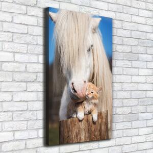 Vertikální Foto obraz na plátně Bílý kůň s kočkou ocv-119704744
