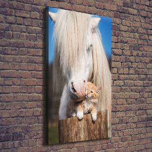 Vertikální Foto obraz na plátně Bílý kůň s kočkou ocv-119704744