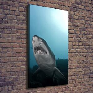 Vertikální Vertikální Foto obraz na plátně do obýváku Velký žralok ocv-120086004