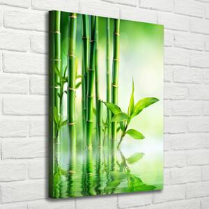 Vertikální Foto obraz na plátně Bambus ve vodě ocv-120328411