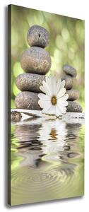 Vertikální Foto obraz na plátně Kamení a květ ocv-120405359
