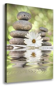 Vertikální Foto obraz na plátně Kamení a květ ocv-120405359