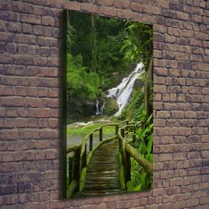 Vertikální Foto obraz na plátně Stezka v džungli ocv-120475287