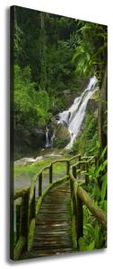 Vertikální Foto obraz na plátně Stezka v džungli ocv-120475287