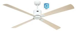 CasaFan 943323W Eco Neo III WiFi, buk a javor, stropní ventilátor