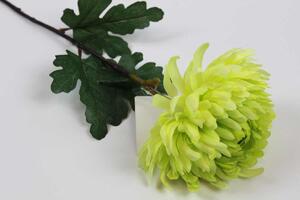 Zelená umělá rozkvetlá chryzantéma 83cm