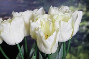Krémový umělý tulipán s listy 67cm 1ks