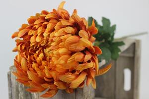 Oranžová umělá chryzantéma na stonku 90cm