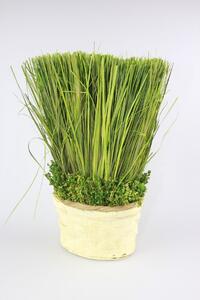 Zelený tráva v krémovém květináči 28cm