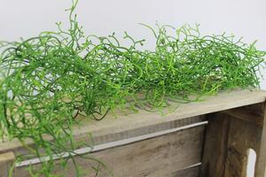 Zelený umělý táhlý asparagus 85cm