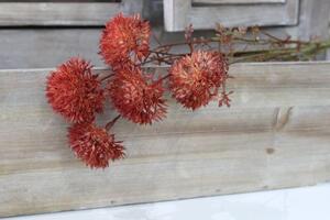 Oranžová umělá kytička polních kvítků 49cm