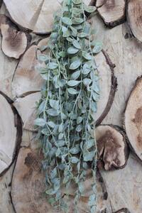 Zelená umělá rostlina aeschynanthus 80cm