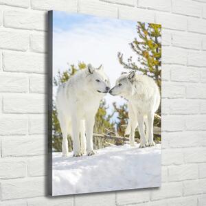 Vertikální Foto obraz na plátně Dva bílí vlci ocv-121943194