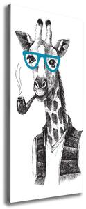 Vertikální Foto obraz na plátně Žirafa v brýlích ocv-122012386