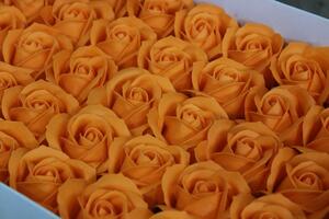 Oranžové tmavé mýdlové růže 50ks 6cm