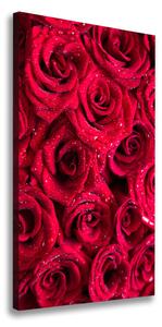 Vertikální Foto obraz na plátně Červené růže ocv-122317792