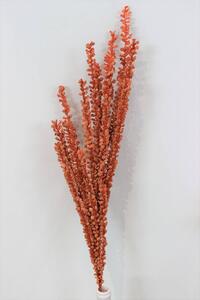 Oranžová pěnová tráva s bobulkami 80cm