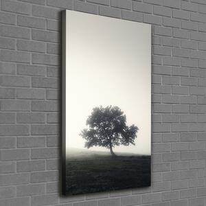 Vertikální Foto obraz na plátně Dřevo v mlze ocv-122846887