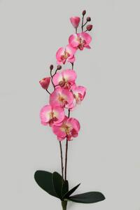 Bledě růžová umělá dvoustonková orchidej 67cm