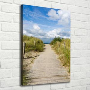Vertikální Foto obraz na plátně Stezka na pláž ocv-123471354