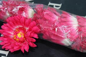 Cyklámenové umělé květiny gerbery 12ks 10cm