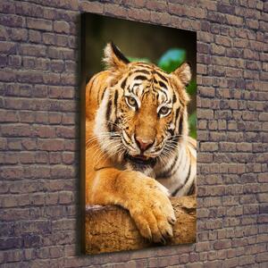 Vertikální Foto obraz na plátně Bengálský tygr ocv-124110123