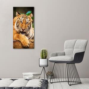 Vertikální Foto obraz na plátně Bengálský tygr ocv-124110123
