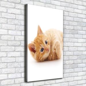 Vertikální Foto obraz canvas Malá červená kočka ocv-126034635