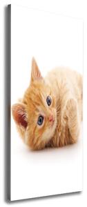 Vertikální Foto obraz canvas Malá červená kočka ocv-126034635