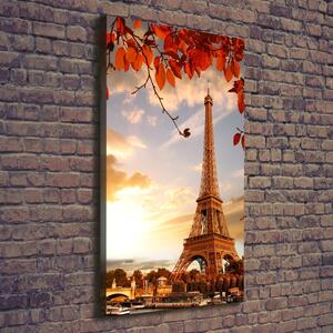 Vertikální Foto obraz na plátně Eiffelová věž Paříž ocv-126000678