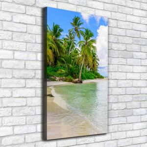 Vertikální Foto obraz na plátně Tropická pláž ocv-128237985