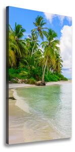 Vertikální Foto obraz na plátně Tropická pláž ocv-128237985