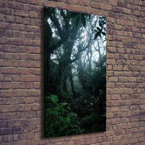 Vertikální Foto obraz na plátně Deštný prales ocv-128961435