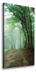 Vertikální Foto obraz canvas Mlha v lese ocv-132941694