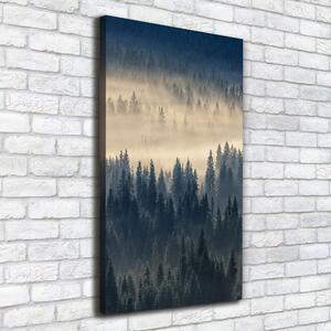 Vertikální Foto obraz na plátně Mlha nad lesem ocv-134224571