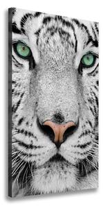 Vertikální Foto obraz canvas Bílý tygr ocv-13468757