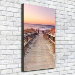 Vertikální Foto obraz na plátně Stezka na pláž ocv-135049987