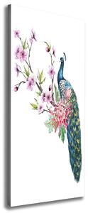 Vertikální Foto obraz canvas Páv a květiny ocv-137329257