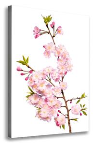 Vertikální Foto obraz canvas Květy višně ocv-139376728