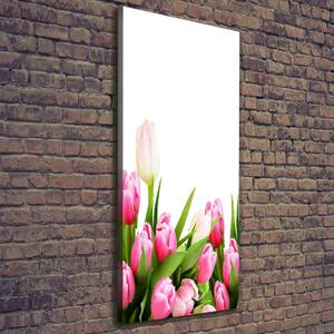 Vertikální Foto obraz na plátně Růžové tulipány ocv-138798865