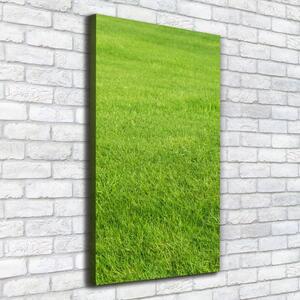 Vertikální Foto obraz na plátně Zelená tráva ocv-141153462